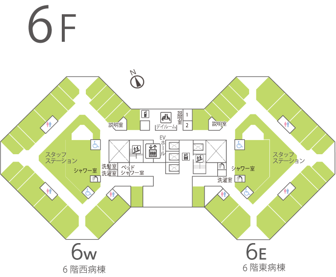 6F