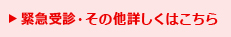 緊急受診・その他詳しくはこちら