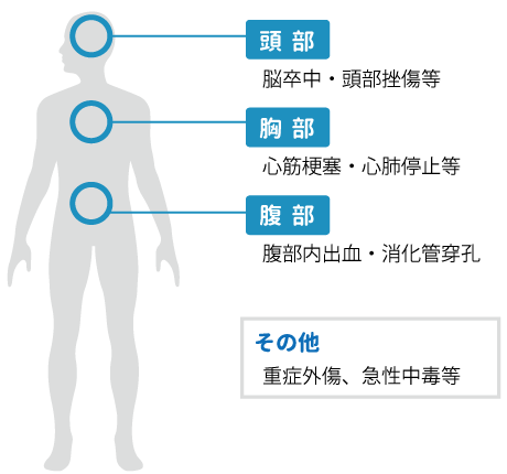 頭部、胸部、腹部、など