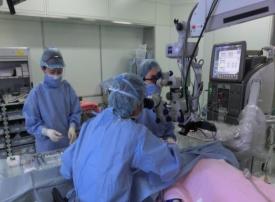 眼科手術の様子 眼科手術の様子