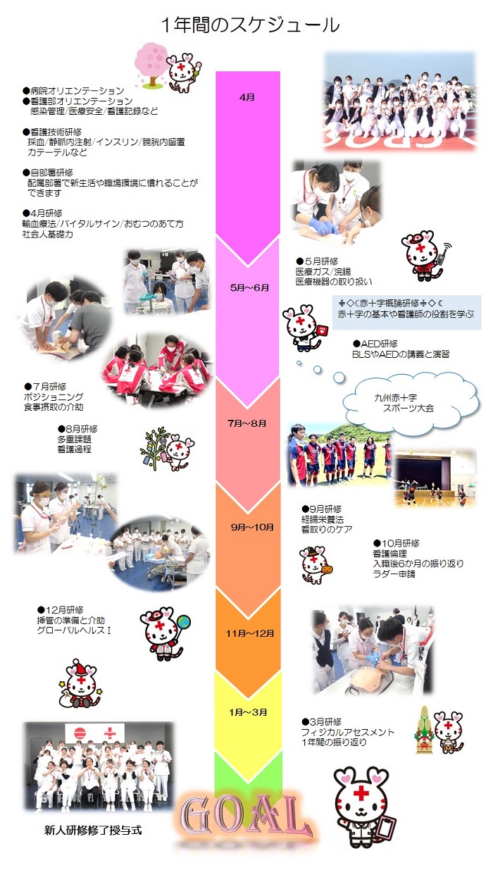 新人看護師１年間のスケジュール
